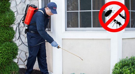 Bala Dezenfeksiyon böcek ilaçlama ve haşere kontrolü — ilaclama-tr.com